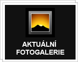 další fotogalerie hattrick bar jihlava